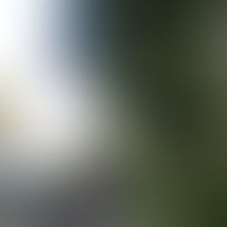 First Staff Happy Hour in over a Year!