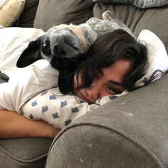 A dog walker snuggles with a dog on a couch in Philly