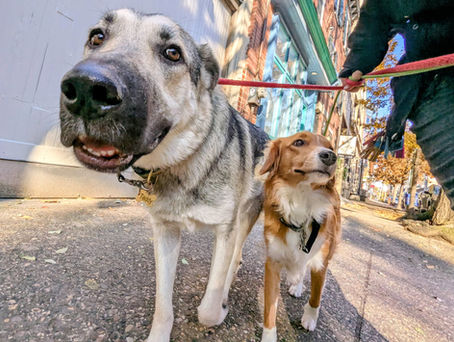 From 2025 to What’s Next. Thanks for Trusting Us.