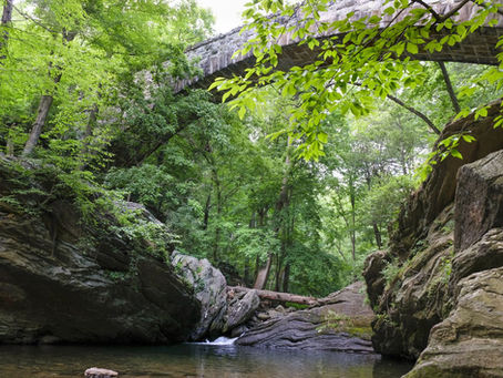 Hike and Splash: Five Dog-Friendly Hikes with Swim Spots near Philadelphia