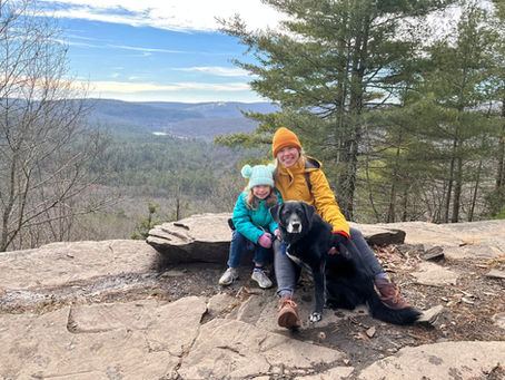 Pawsitively Back: Reviving Our Blog After a Howl-iday