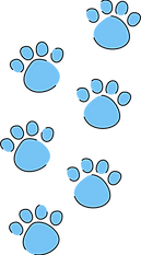 Paw prints