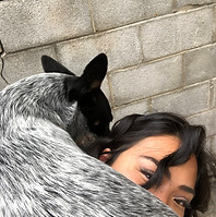 A dog photobombs a selfie