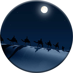 Desert in the night