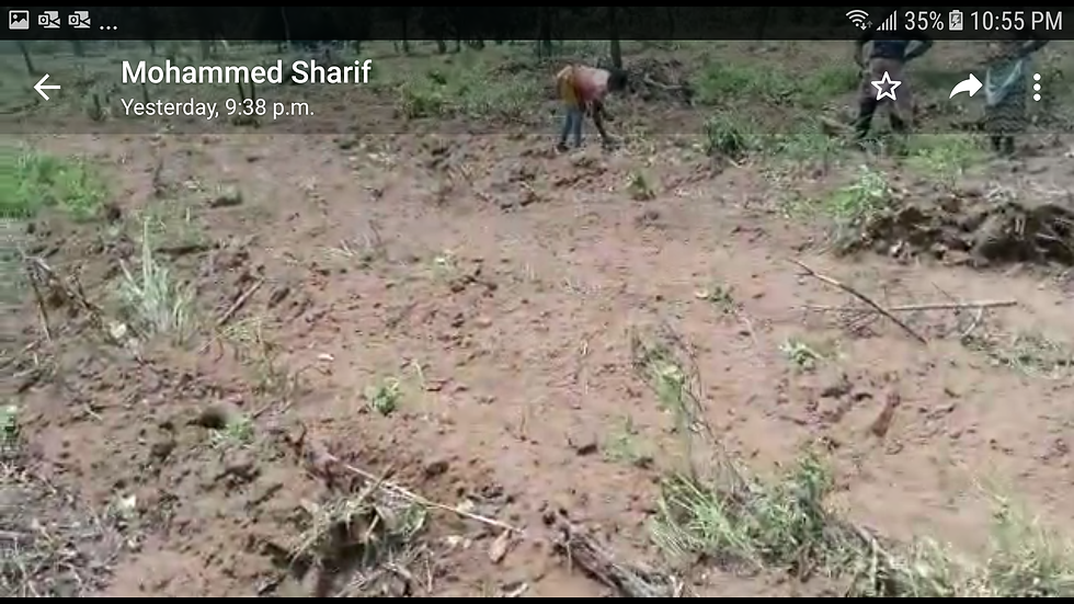 Earthman Estates Damongo, Savannah Ghana