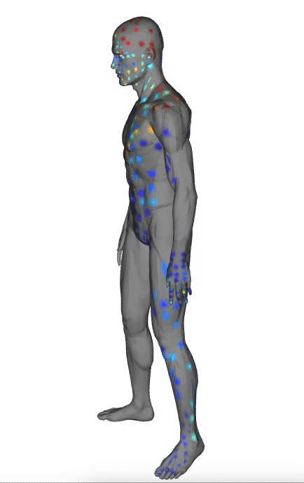 rotating_human.gif