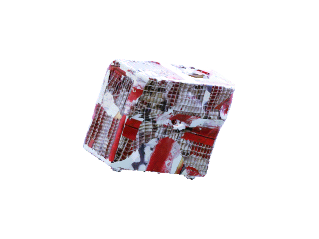 RICOH PROJECTOR 36.gif