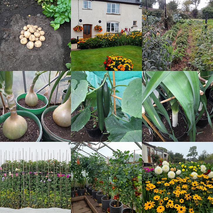 Bryan S, Class 1,2,3.jpg