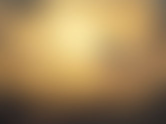 縮図は表裏一体