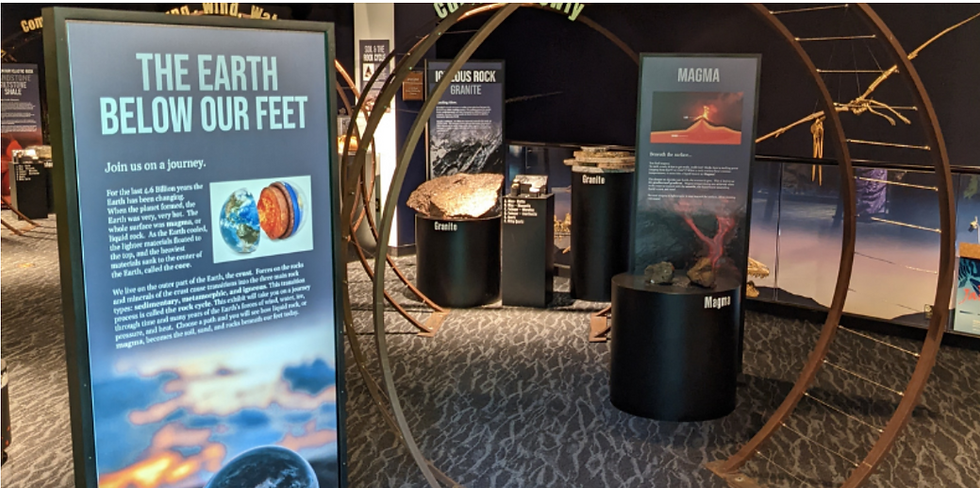 Nature Co-op: Burpee