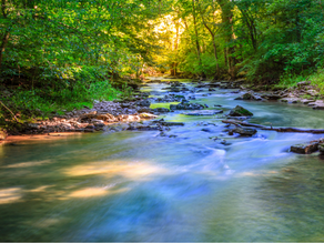 July Update: STORMWATER UTILITY FEES AND PHILLIPPI CREEK