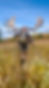 Thumbnail: Field Ready - Intro to Big Game Hunting