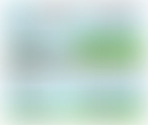 Spring Has Sprung at Mitchell's 