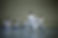 DSC8524-scaled.jpg
