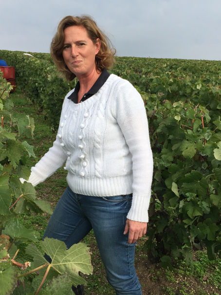 Rosé de Saignée « ESPOIR » bientôt en vente !　
