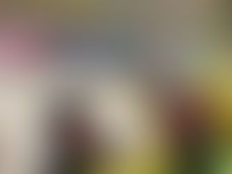 文化庁京都移転記念事業 和束町 文化の集い・秋で、パフォーマンスをしました