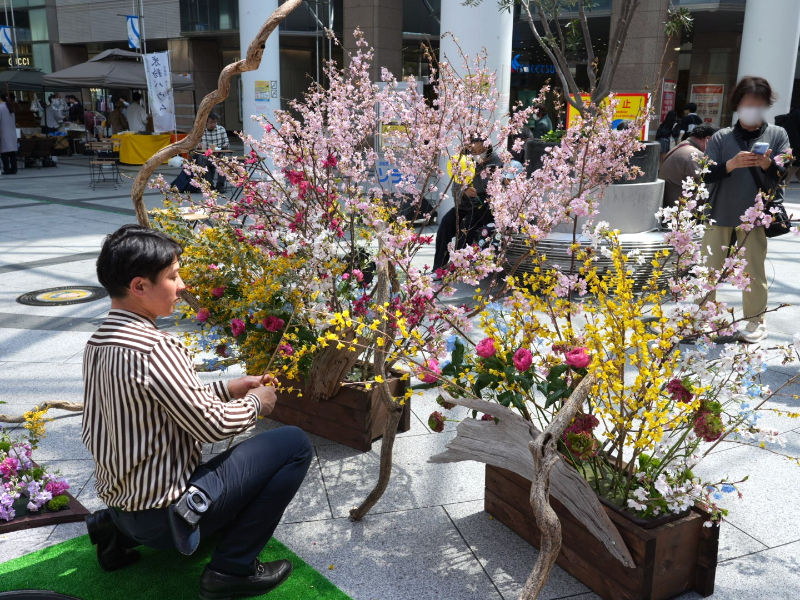 『葵マルシェvol.6 -Easter Spring Marche-』で田中伸明がパフォーマンスを行いました