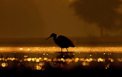 A.D Photography