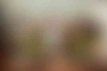 um retrato da amizade para guardar de recordação do aniversário