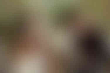 foto documental de família reunida no quintal durante festa de aniversário em Curitiba