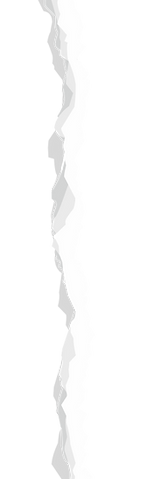 Untitled design (4).png