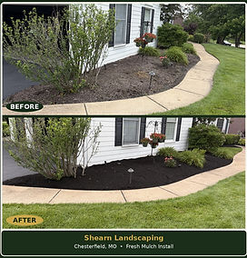 Before and after picture of landscape bed with brand new mulch
