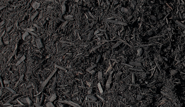 A close-up of jet-black compost and mulch mixture
