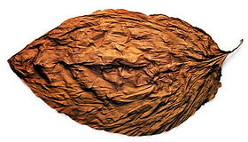 do the amish smoke tobacco Tobacco In Amish Country