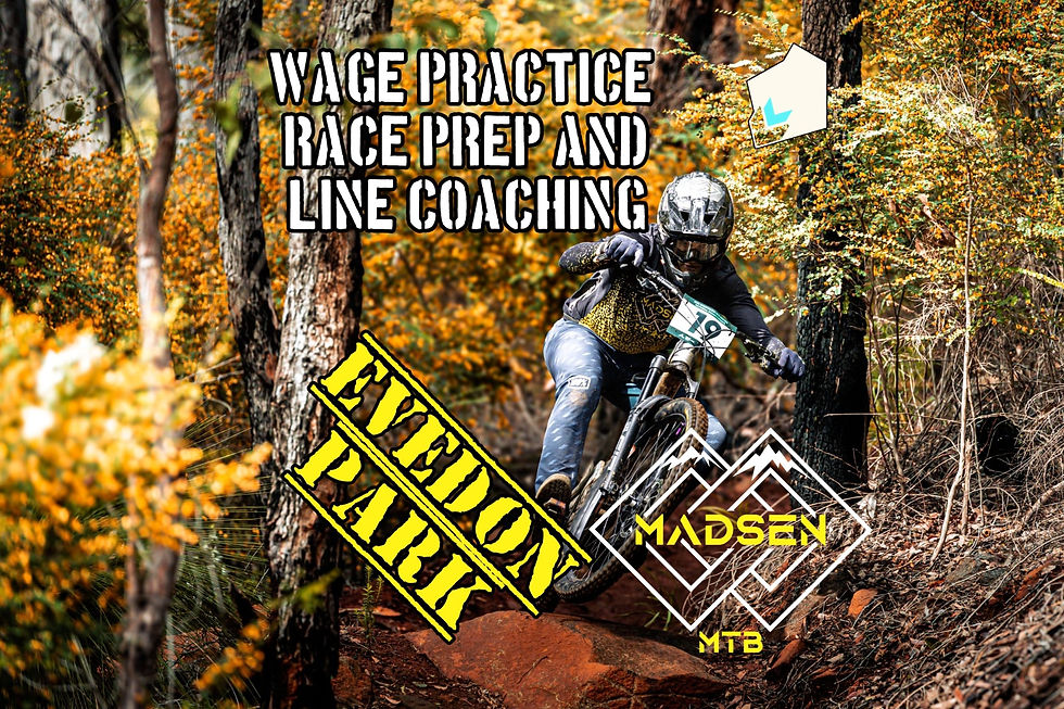 MADSEN MTB | Evedon Park WAGE Rd 3, Morning Line Choice