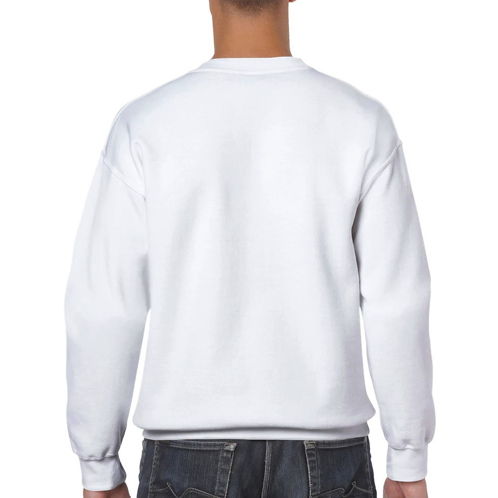 Thumbnail: Sweatshirt "BSTN"