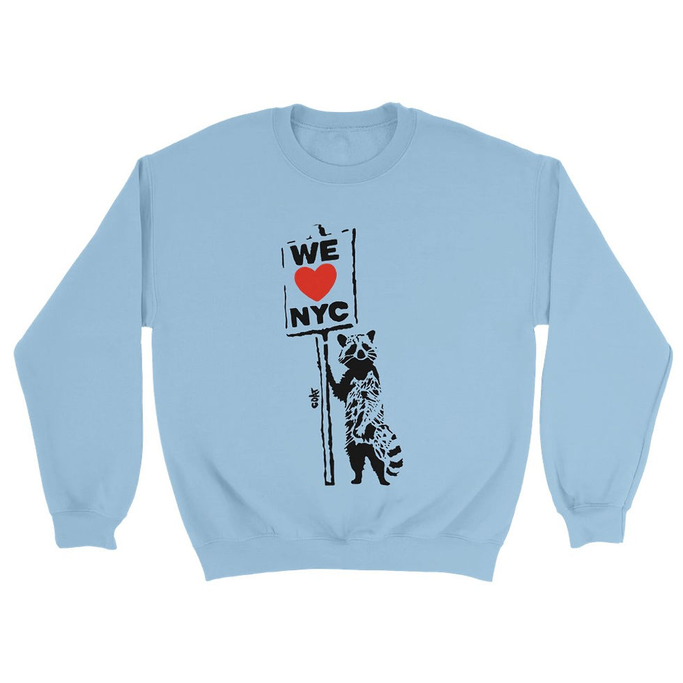 Thumbnail: Sweatshirt "Raccoon With A Sign"