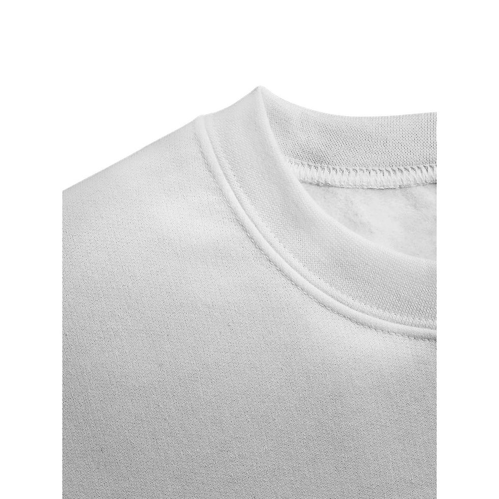 Thumbnail: Sweatshirt "Raccoon With A Sign"
