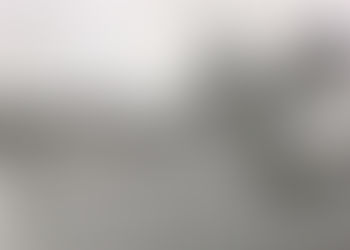 O guarda redes do Sporting anti-fascista - Carlos Gomes