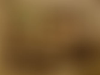 Tesouro de moedas romanas descoberto no fundo de rio na Holanda devido a superstição