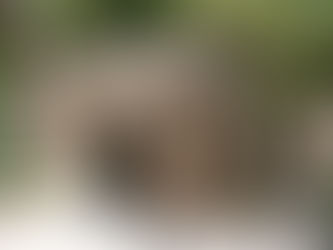 O mistério da última morada da Mãe de Jesus