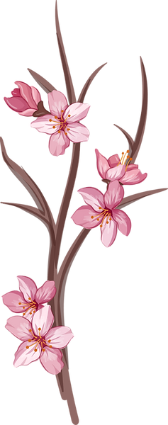 Web Art