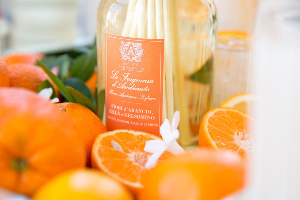 Antica Farmacista's Style