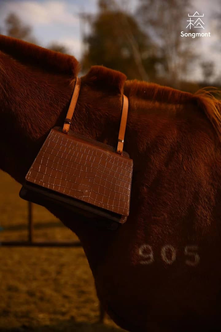 Thumbnail: 2 Face Sling Bag