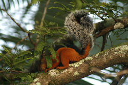 _MG_7915 - copia.JPG