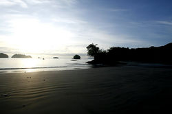 _MG_7925 - copia.JPG