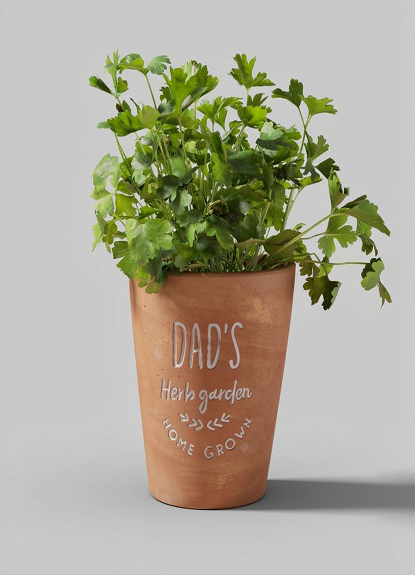 Dad's plant pot
