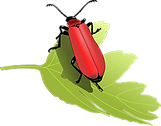 害虫