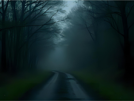 dark road through the foggy woods