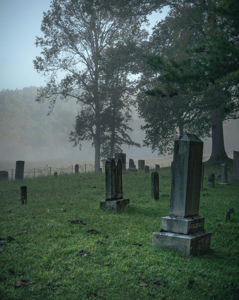 Foggy cemetery with old gravestones and trees, suggesting Southern Gothic atmosphere