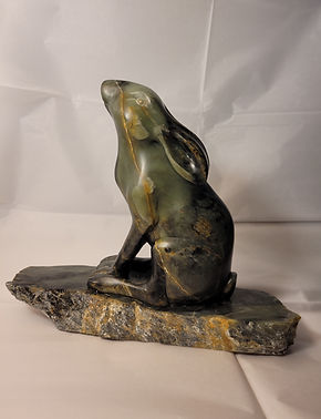 Hare