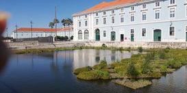 A primavera e um passeio