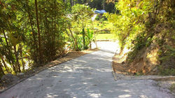 13493494_873342706142987_1179469340_o