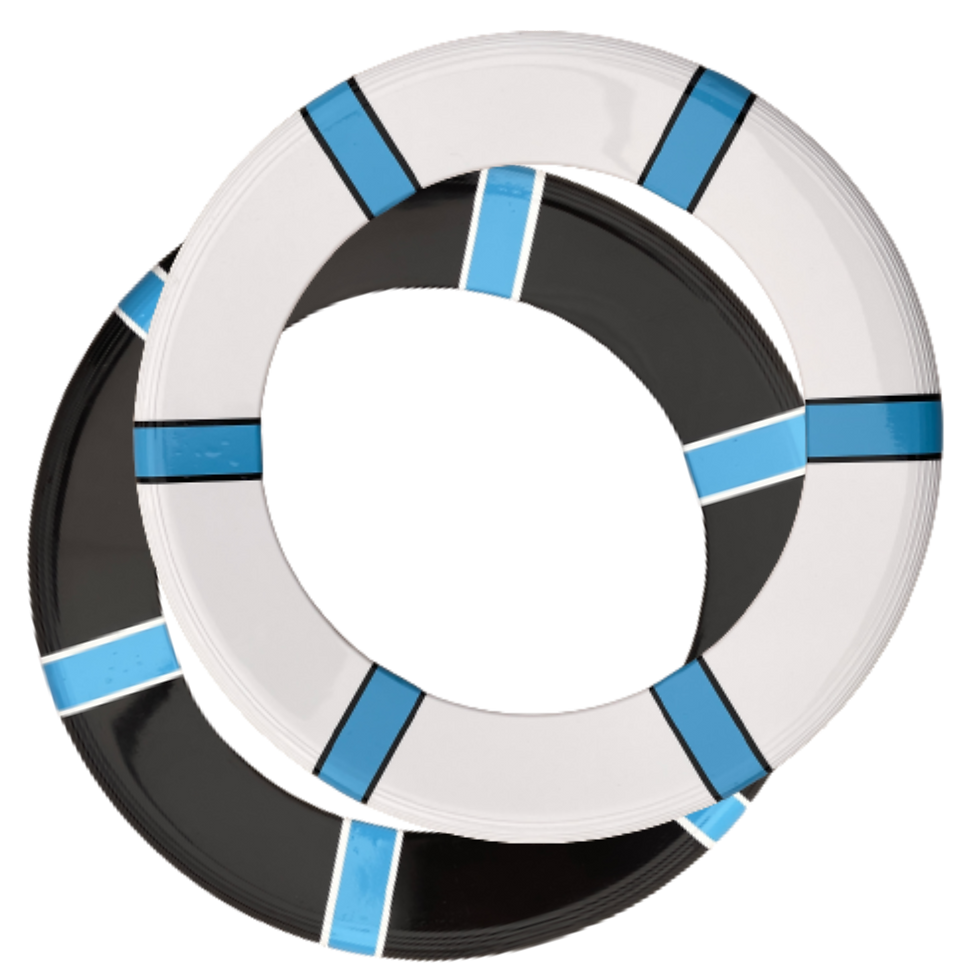 Thumbnail: Spin Flyer - Black White / light blue black white