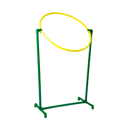 Discet Target