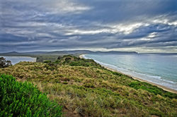 The Neck, North View